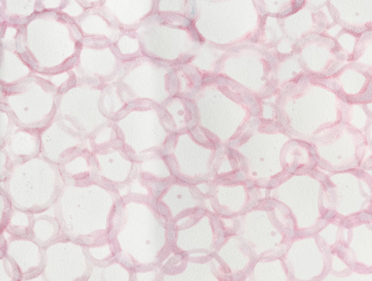 This is the original patterned, textured design created by famous abstract artist, Fran Maass. This design was digitally enhanced to create the large pattern wallpaper design, Pink Circles.