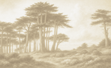 "Cypress" Oversized Wallpaper Mural by Vivian Ferne