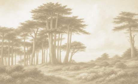 "Cypress" Oversized Wallpaper Mural by Vivian Ferne
