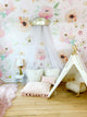 Custom Murals
