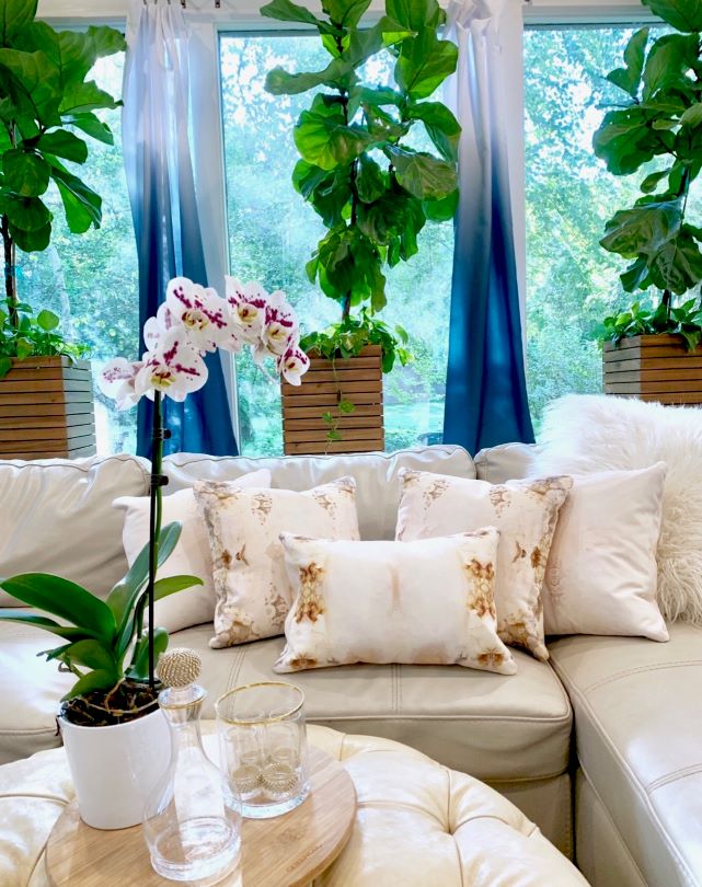 Sun room pillows on white leather couch