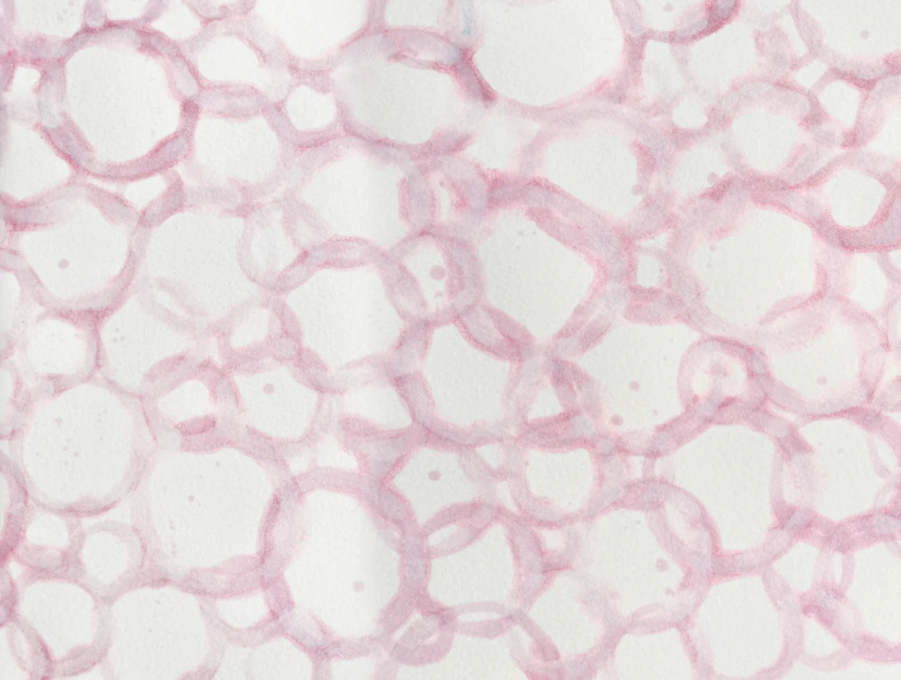 This is the original patterned, textured design created by famous abstract artist, Fran Maass. This design was digitally enhanced to create the large pattern wallpaper design, Pink Circles. 