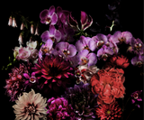 purple and black flower wall mural wallpaper